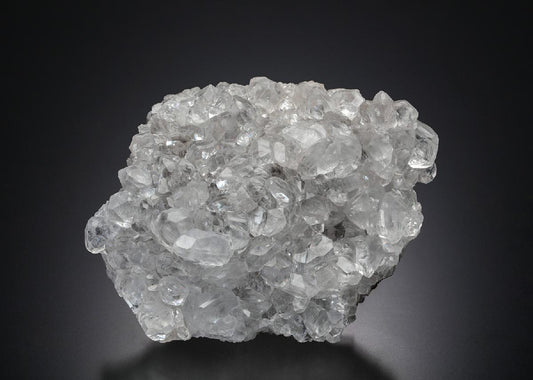 CC13996 specimen image