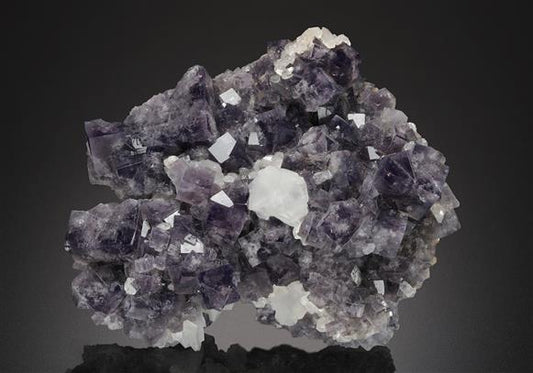 CC13999 specimen image