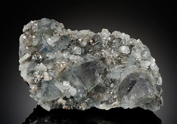CC14014 specimen image