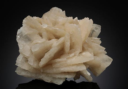 CC14025 specimen image