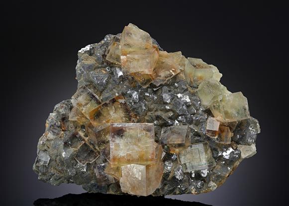 CC14026 specimen image