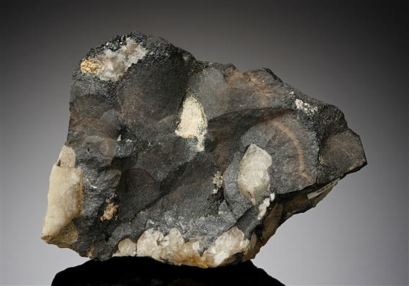 CC14063 specimen image