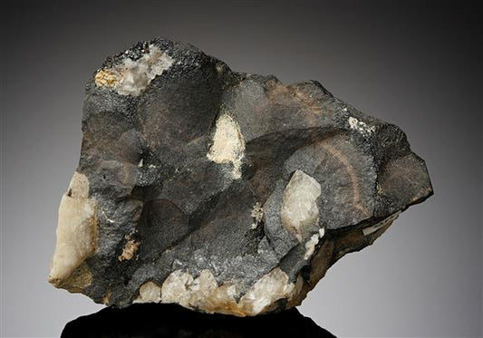 CC14063 specimen image
