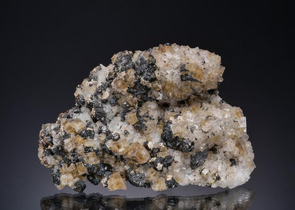 CC14070 specimen image
