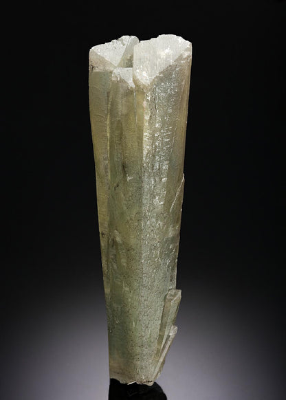 CC14083 specimen image