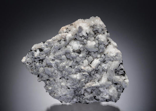 CC14088 specimen image
