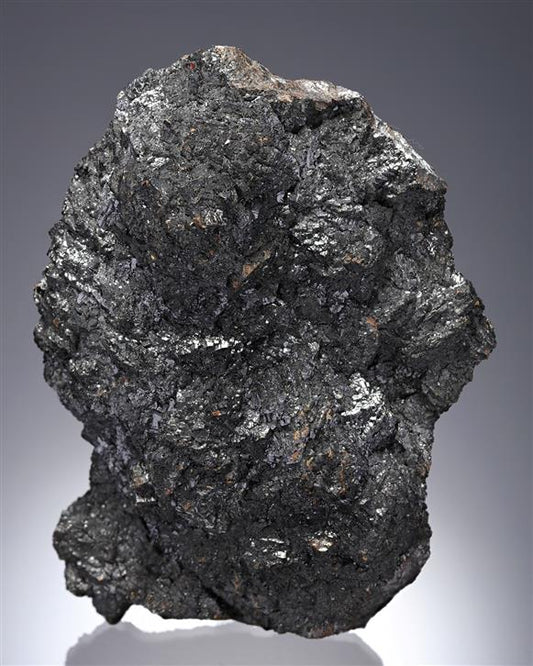 CC14092 specimen image