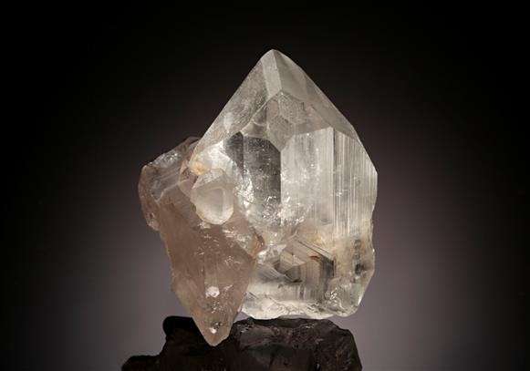 CC14093 specimen image