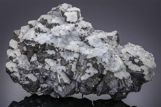 CC14099 specimen image