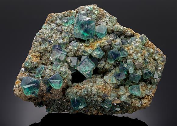 CC14101 specimen image