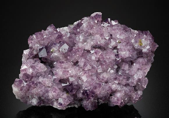 CC14111 specimen image