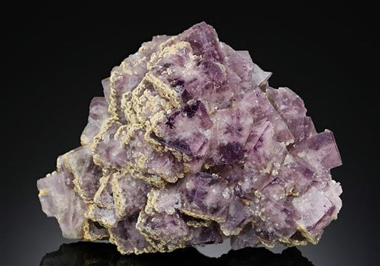 CC14112 specimen image