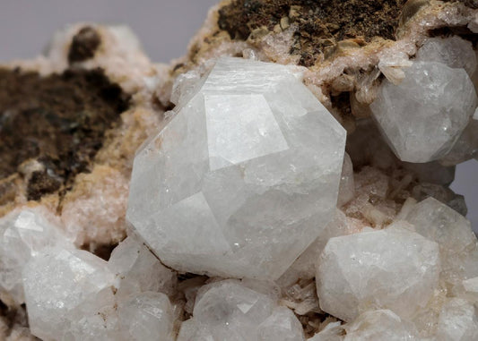 CC14113 specimen image