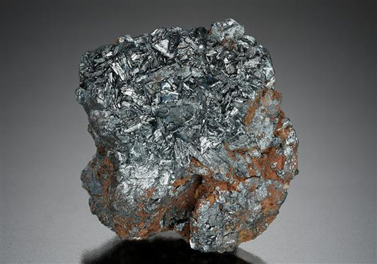 CC14118 specimen image