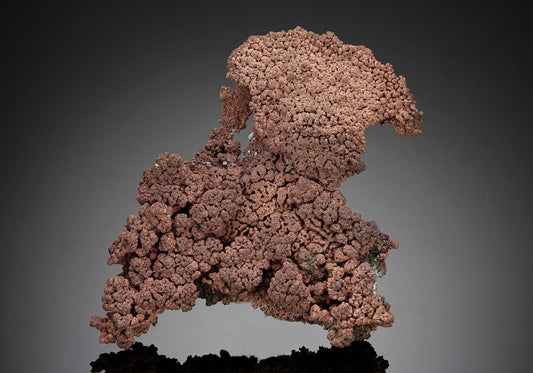 CC14130 specimen image