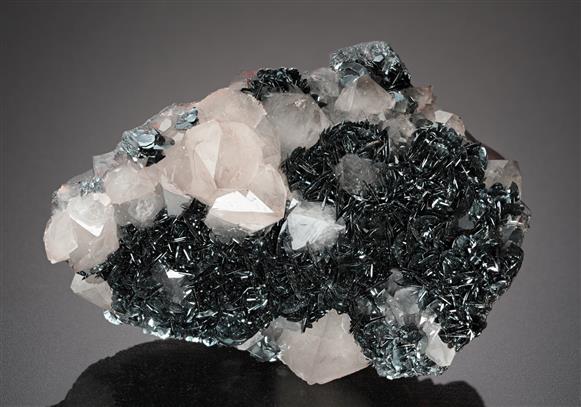 CC14140 specimen image