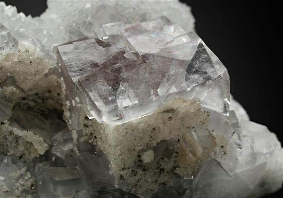 CC14145 specimen image