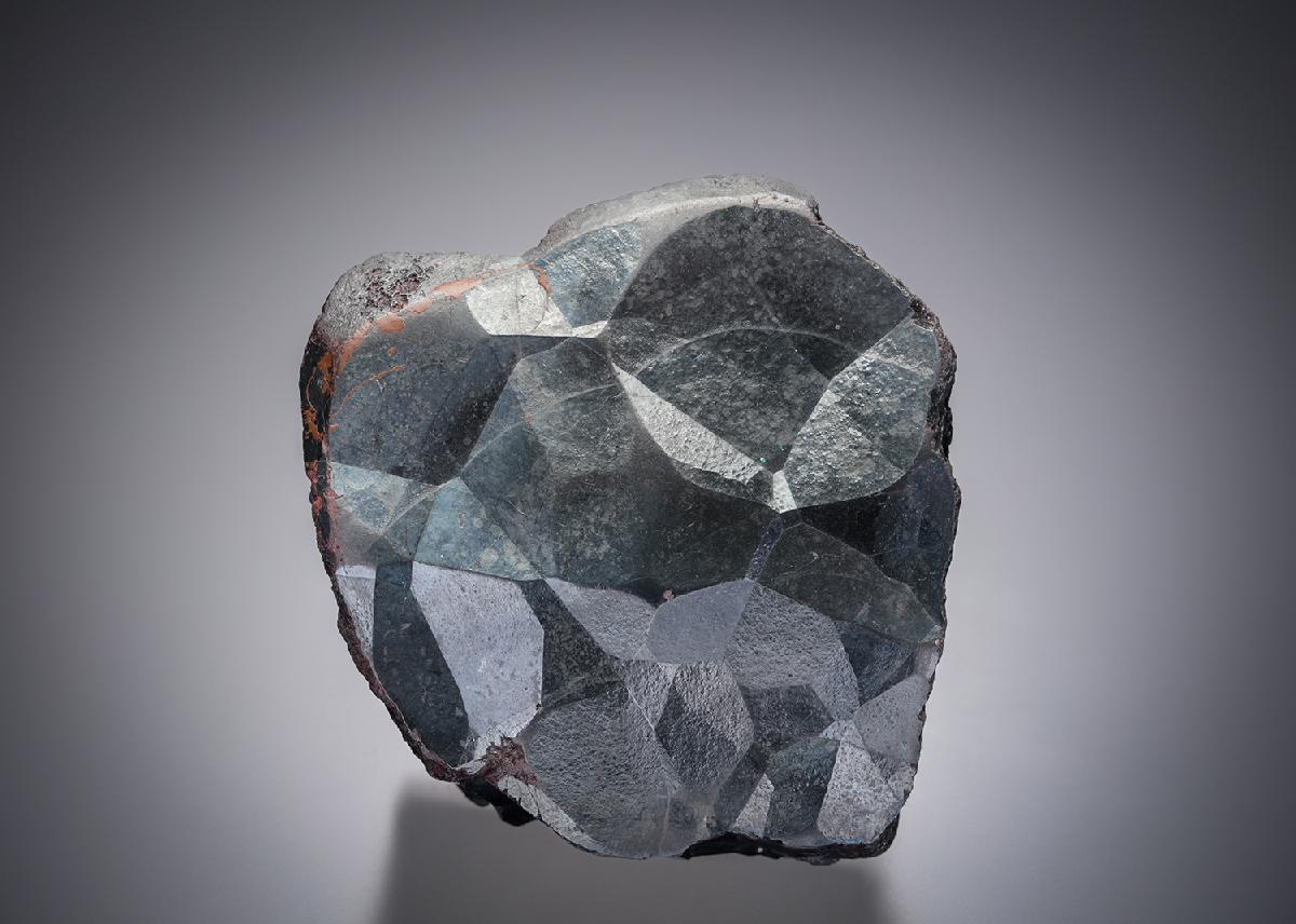 CC14148 specimen image