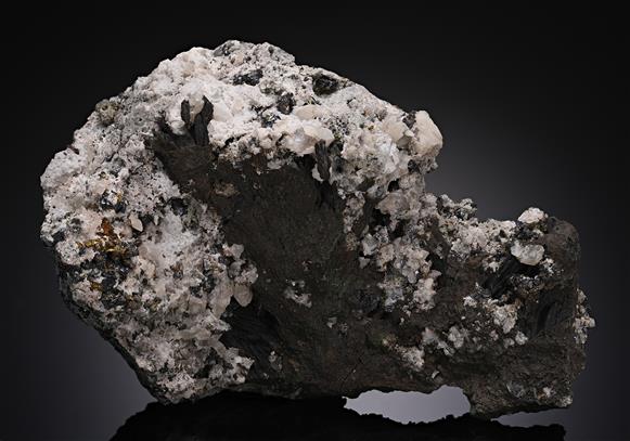 CC14159 specimen image