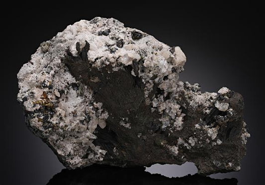 CC14159 specimen image