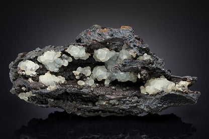 CC14168 specimen image