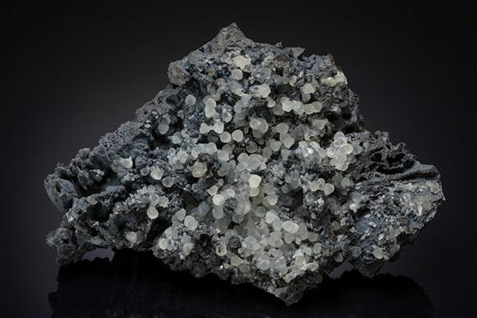 CC14172 specimen image