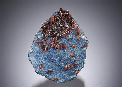 CC14179 specimen image
