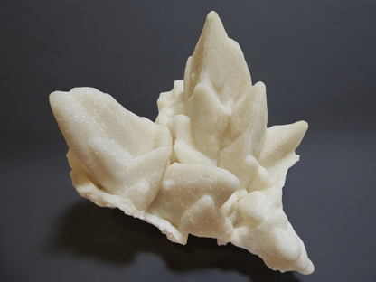 CC14181 specimen image