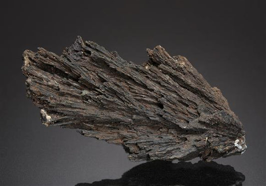 CC14192 specimen image