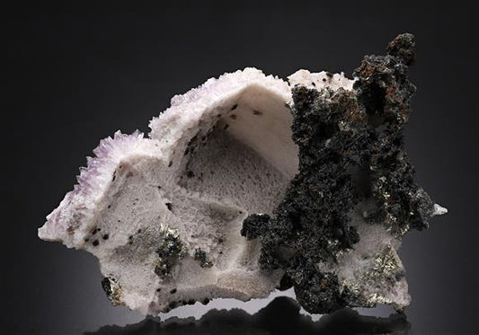 CC14194 specimen image