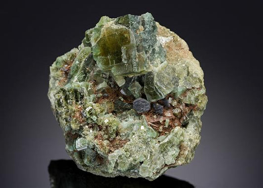 CC14198 specimen image