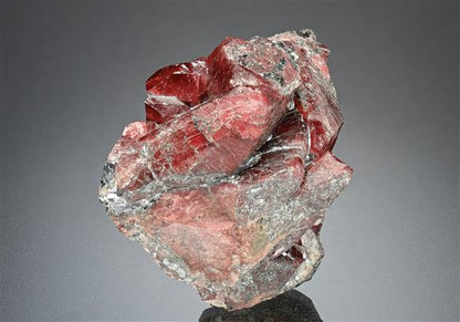 CC14199 specimen image