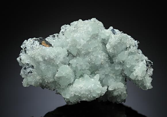 CC14200 specimen image