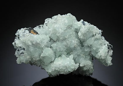 CC14200 specimen image