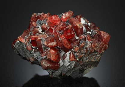 CC14203 specimen image