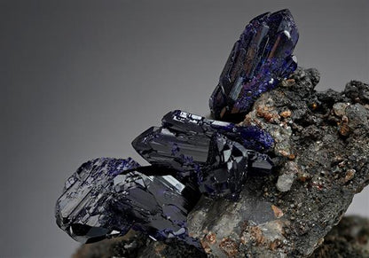 CC14205 specimen image