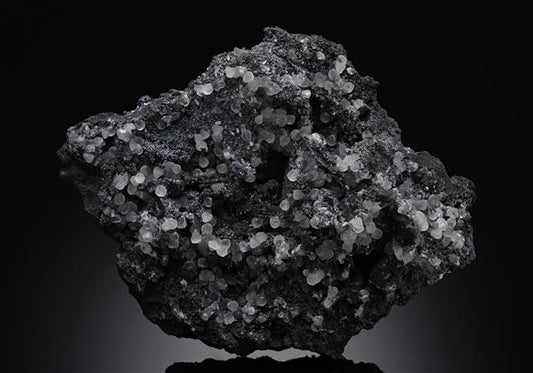 CC14222 specimen image