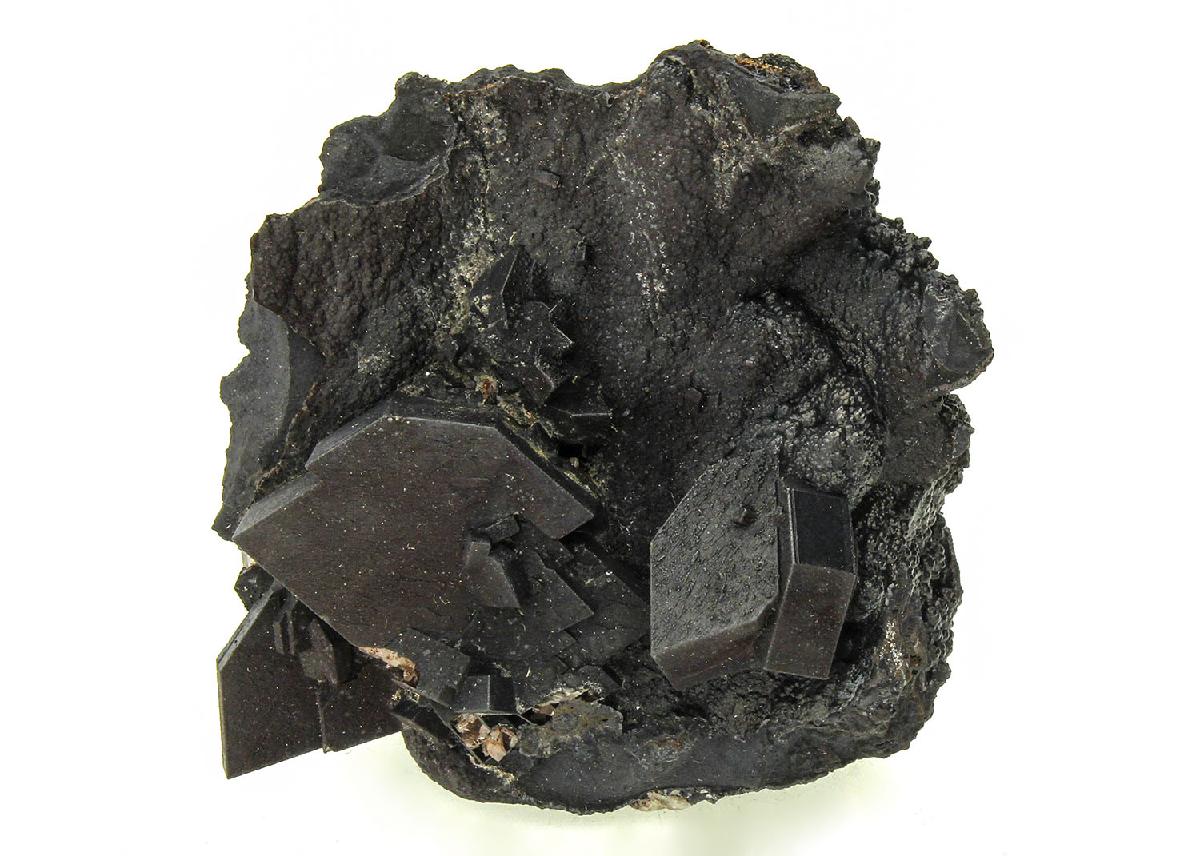 CC14230 specimen image