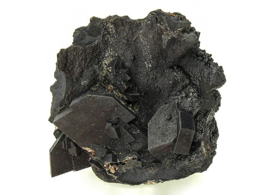 CC14230 specimen image