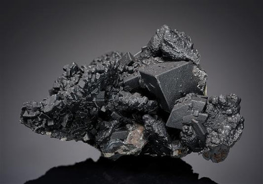 CC14232 specimen image
