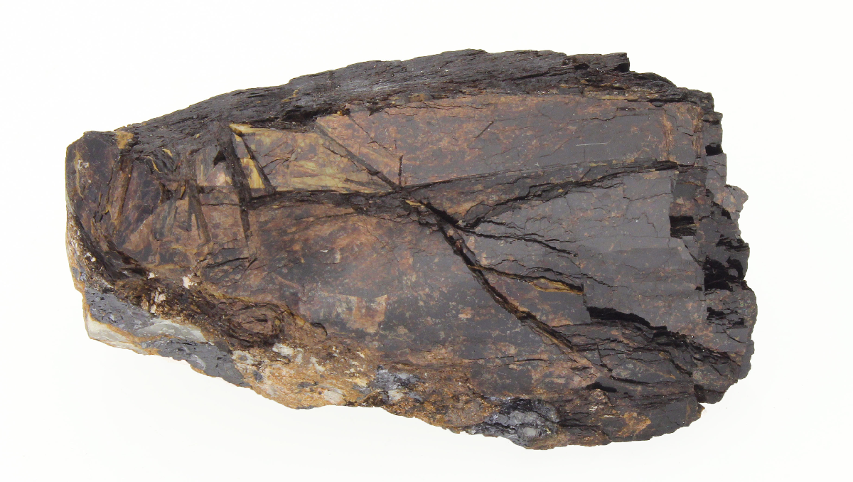 CC14235 specimen image