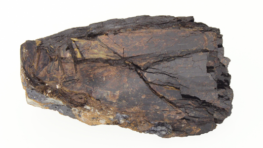 CC14235 specimen image