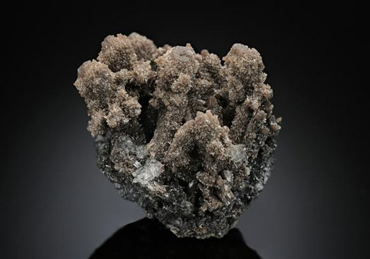 CC14236 specimen image