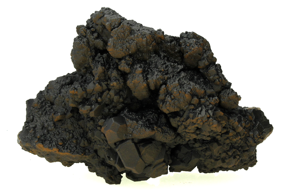 CC14237 specimen image