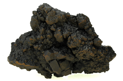 CC14237 specimen image