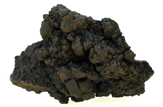CC14237 specimen image