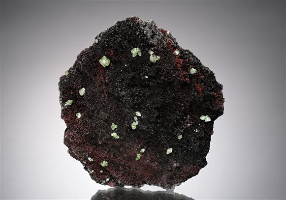 CC14254 specimen image