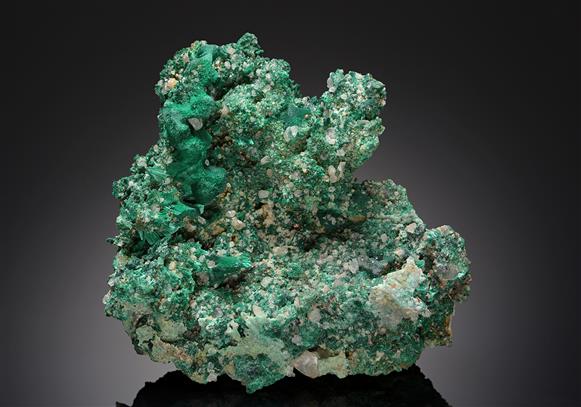 CC14255 specimen image