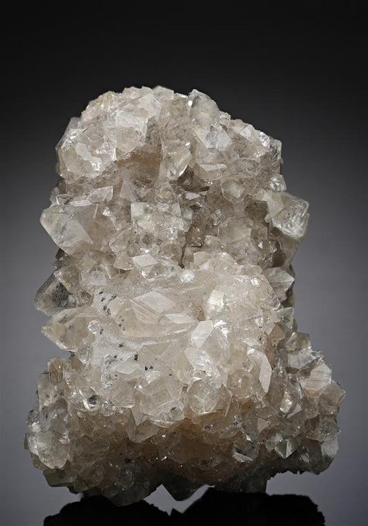 CC14260 specimen image
