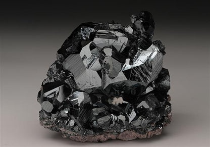 CC14275 specimen image